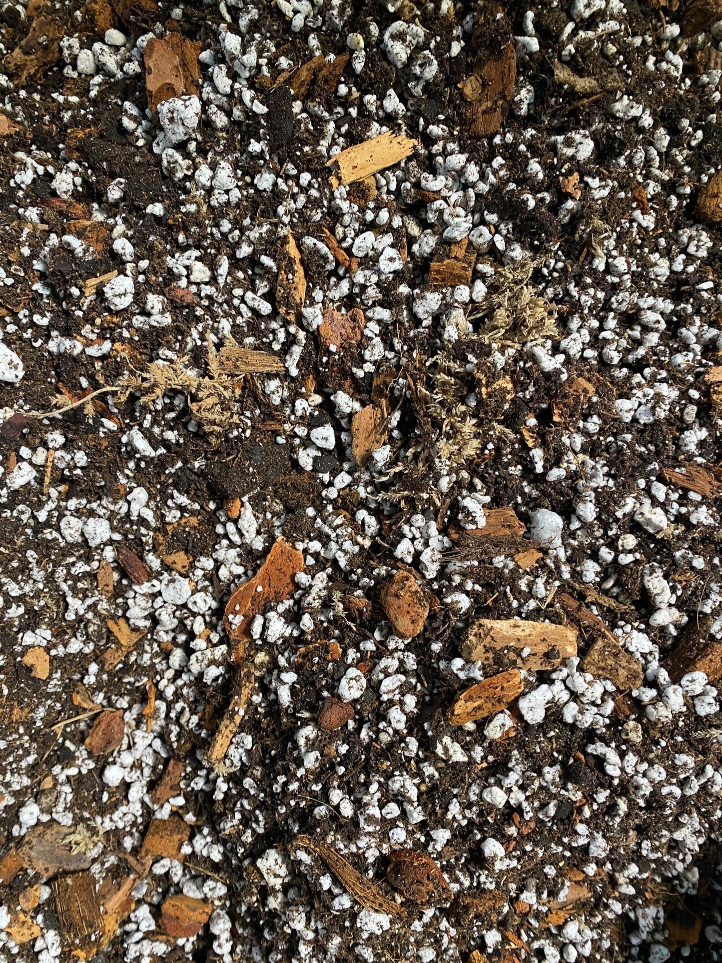 Chunky Aroid Soil Mix with Pest Preventative